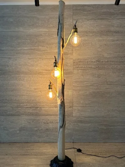 Natural Driftwood Spine